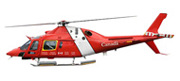 AW119
